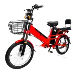 Manufacturers direct sales 20 inch fat tire spoke wheel load fork double battery electric bicycle